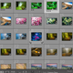 Illustration for article titled 10 Tips and Tricks to Make You a Lightroom Expert